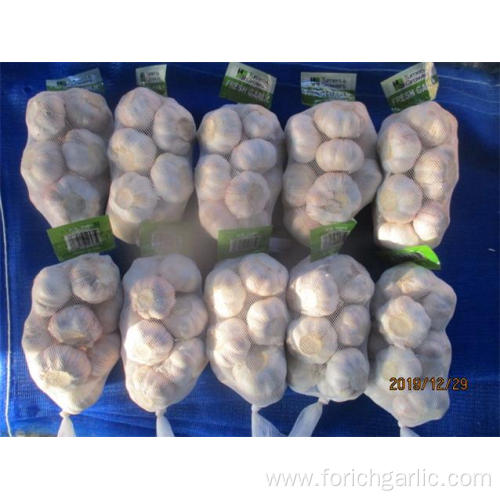 Hot Sale Normal White Fresh Garlic